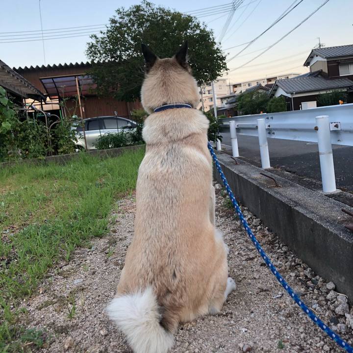 B5e8c2d8 92ab 4fe1 baa2 f9607835bdeb 1628165252832