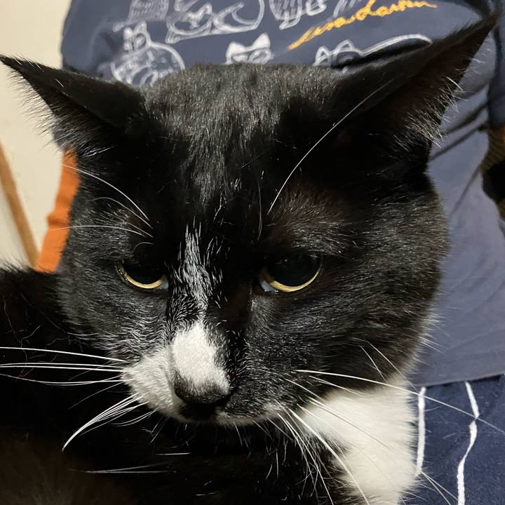 B5e91ccc c619 4cab 9399 bc9276e0dcc0 1751096727224