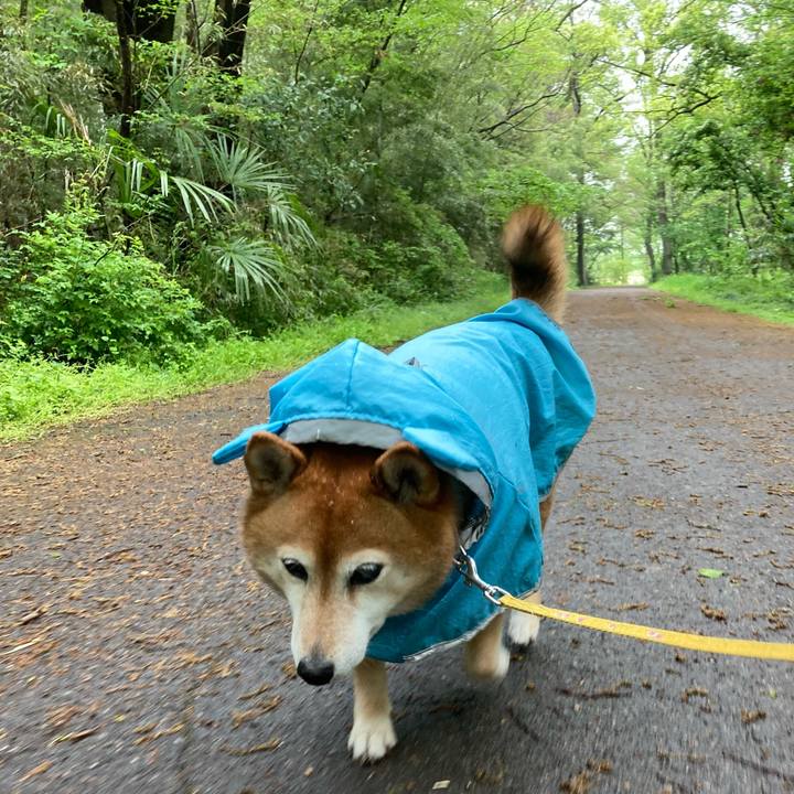 B5e9273b 8ee3 40de 8352 136743f9d6bf 1650439178664