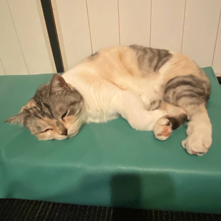 B5e948c8 8efa 41ba 90ef ffc29308d610 1586540152393