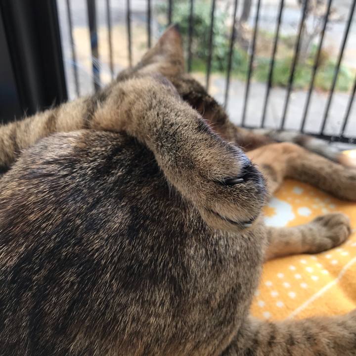 B5e9a227 35ac 47ce 9dd8 8c93ea2b0851 1577845037287