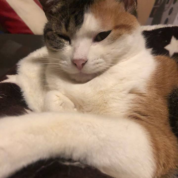 B5e9b87d 16ec 4e28 bf19 e8c036ee9d0e 1586155249024