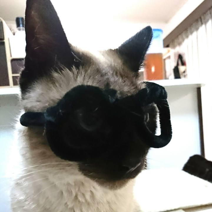 B5e9e249 2b3c 4385 a66b aaeb23216801 1554202484240