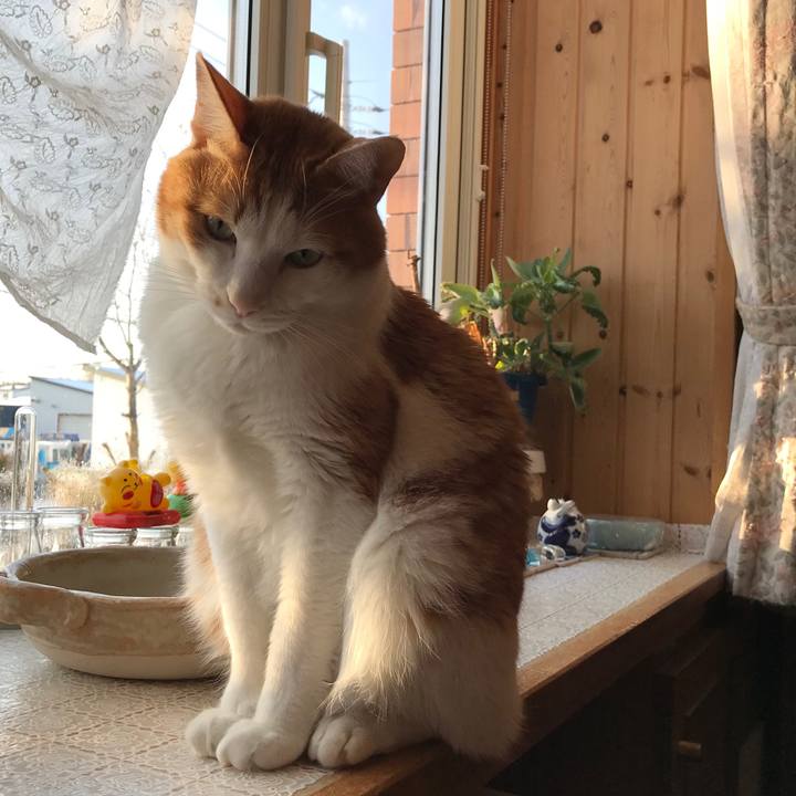 B5ea06c9 5db3 4b52 826c c4d469a2b615 1578613035785