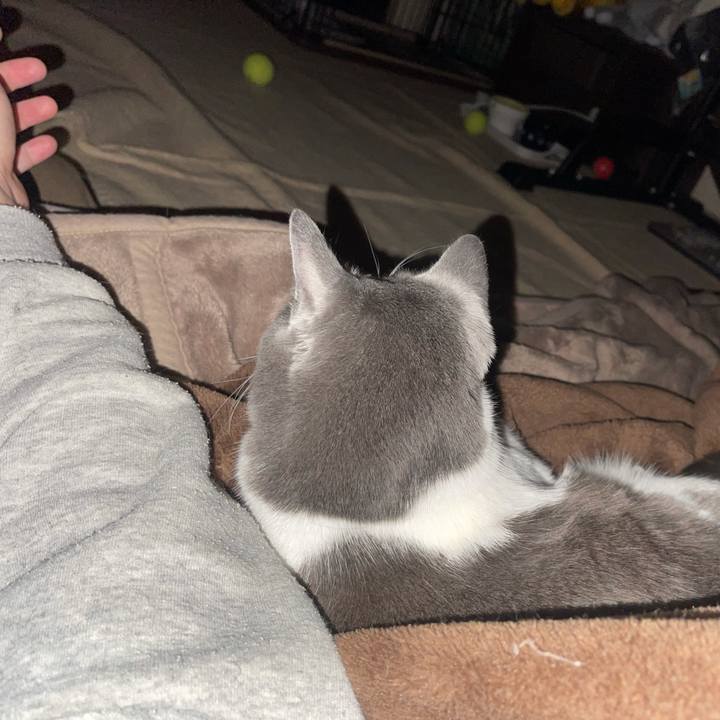 B5ea300b 7b74 45f7 988f 2e33faa4129d 1645032338955