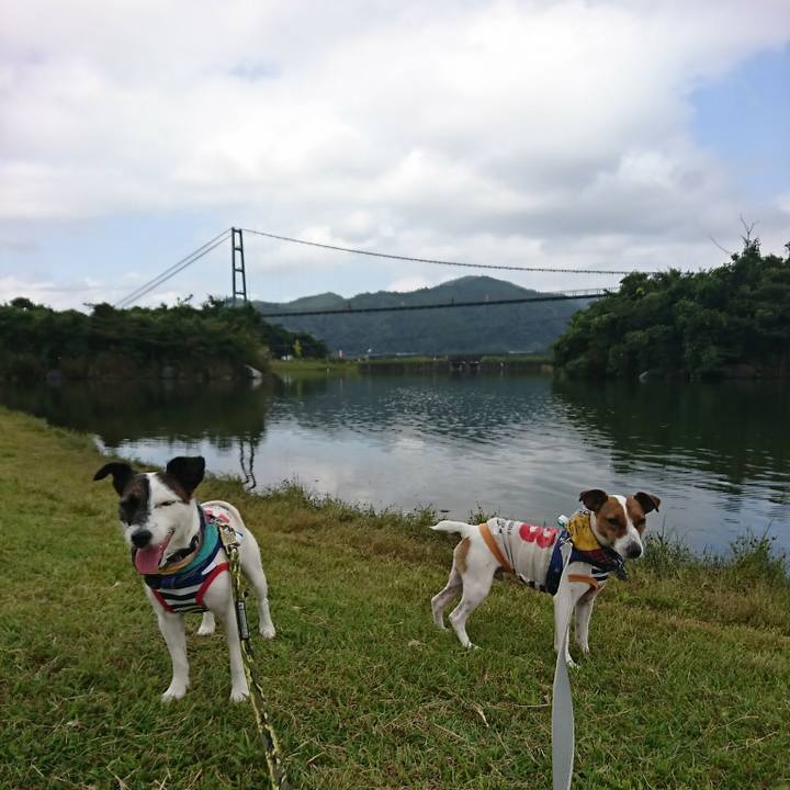 B5ea3ba8 1e4e 471a 9372 f1937646a837 1537758961231