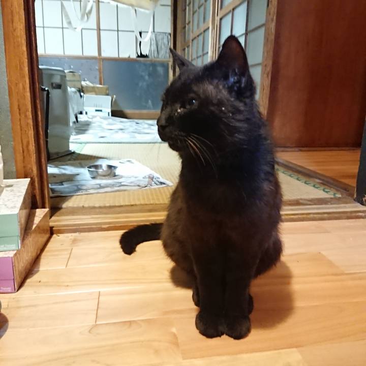 B5ea6d60 c01c 4828 83d0 a7f300f6f10c 1623761339594