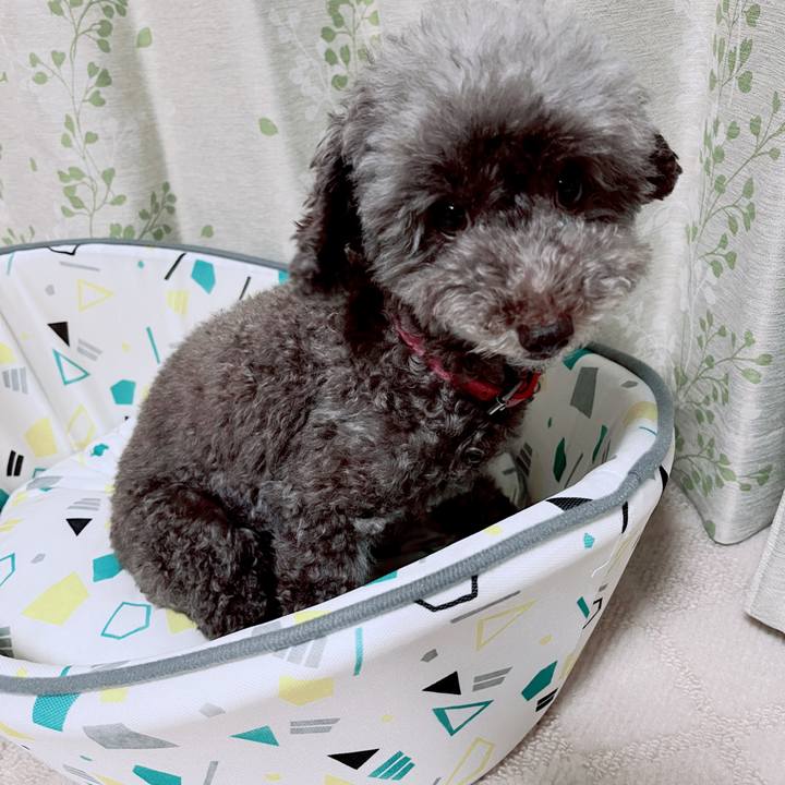 B5ea6e41 25e0 45e6 b04e c18f82d82a27 1694691742033