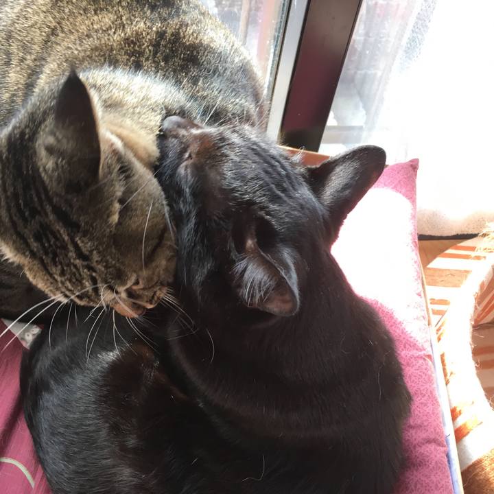 B5ea746c ec01 44a1 8411 8014e2b32a8a 1511662007893