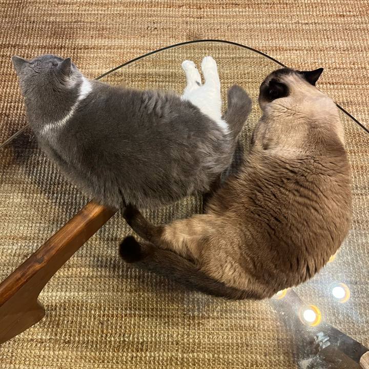 B5ea8923 48b3 49a0 af13 75024b04837c 1756295858495