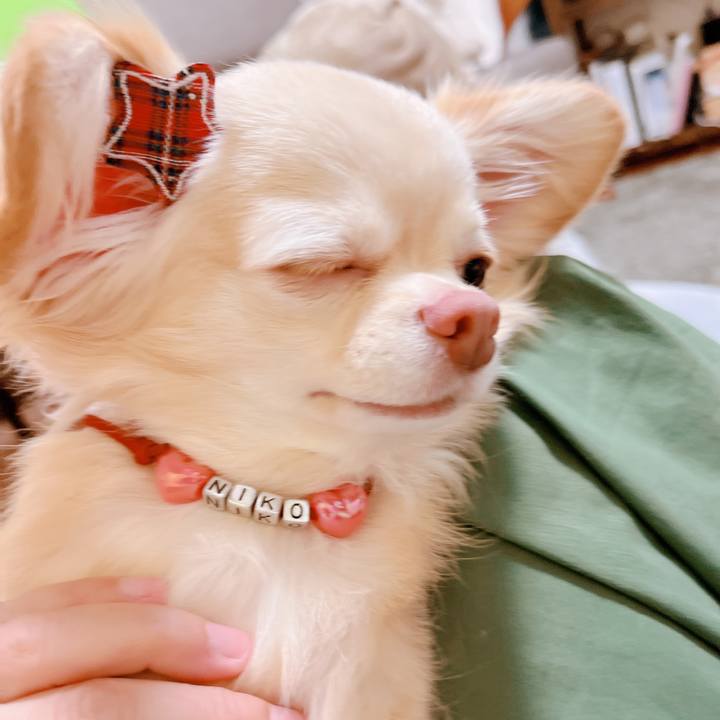 B5eab4b7 8325 41a7 ba78 9fb15651ffc5 1657860923527