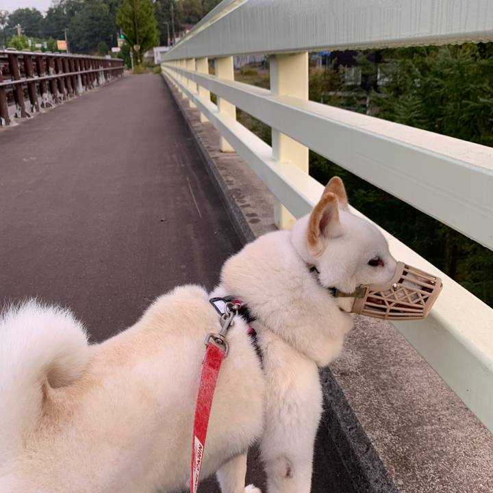 B5eaccb7 4673 4a31 9e77 bf8011029e11 1600984782681