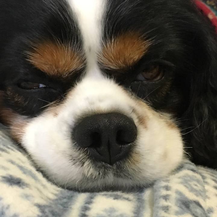 B5ead619 490b 4504 9895 35b0a3da38b1 1510973395121