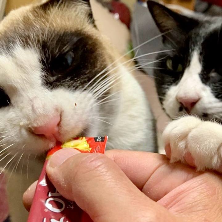 B5eb0ae6 44ee 4dae ba5d 34466b8881dd 1742126752346