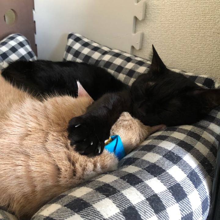 B5eb35f8 4593 431e a92a 70dab555840f 1578394008572