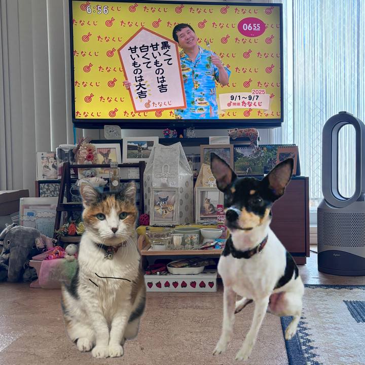 B5eb51d5 c57c 4c8f 9b55 92c2fc1b5270 1756678000441