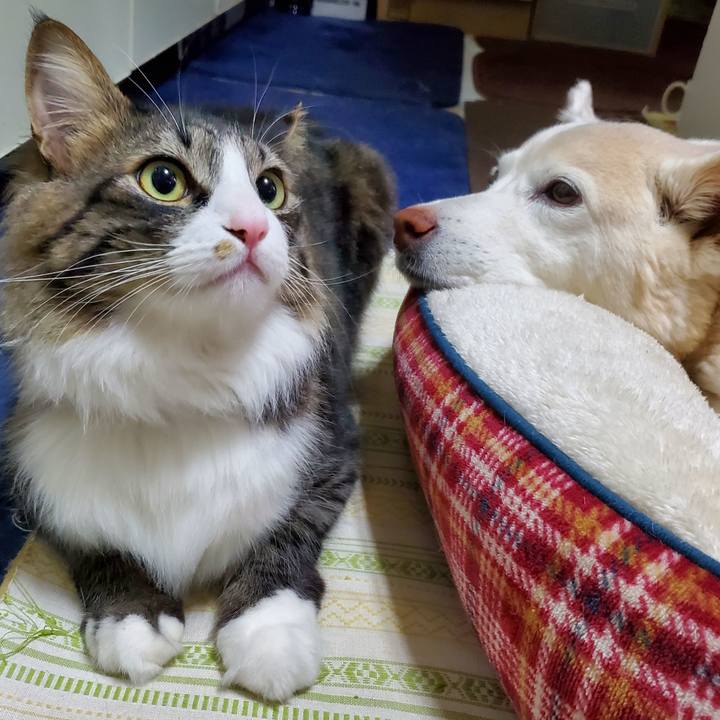 B5eb8508 1413 494d 867b c818ac1c28b2 1679811124701