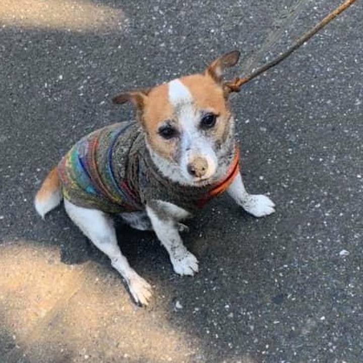 B5eb94ee 0044 46c5 9386 ce03bb49a7c3 1658193231656