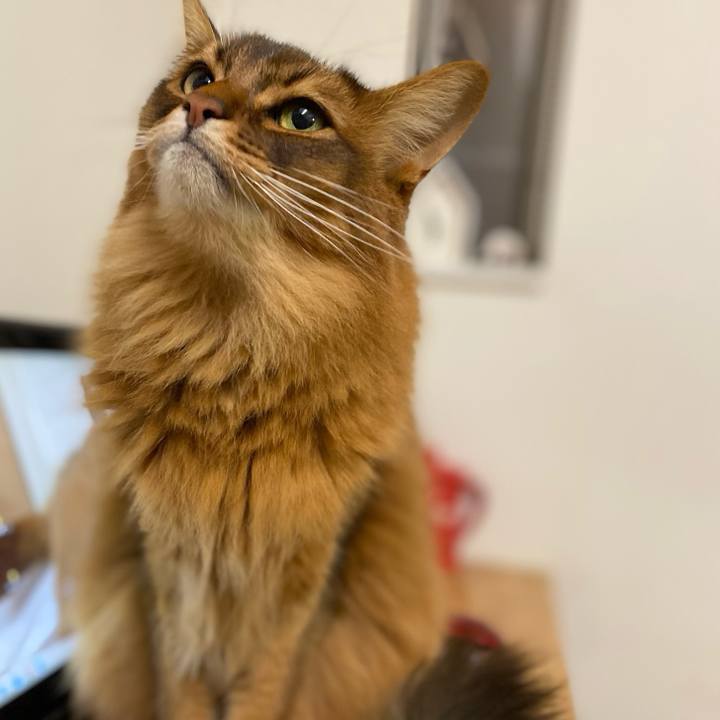 B5eba698 e911 47f3 bd4b 24f8927160a7 1738833655872