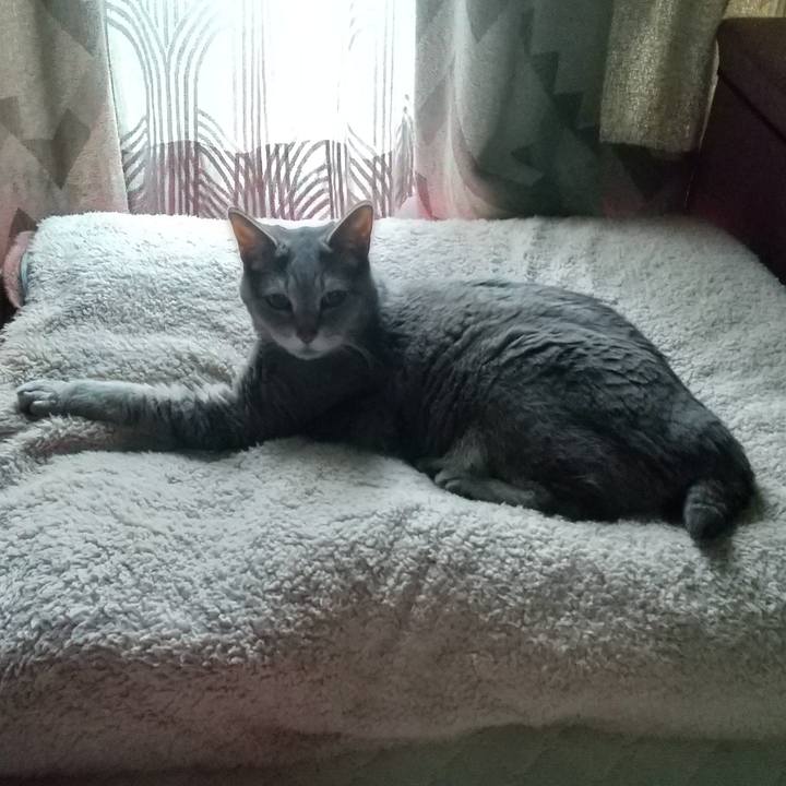 B5ebebfb 4c18 4b85 a3b6 79384b1fb71b 1685658161729