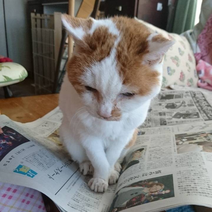 B5ec234c c145 4b0a bc01 537089b54270 1745821720908