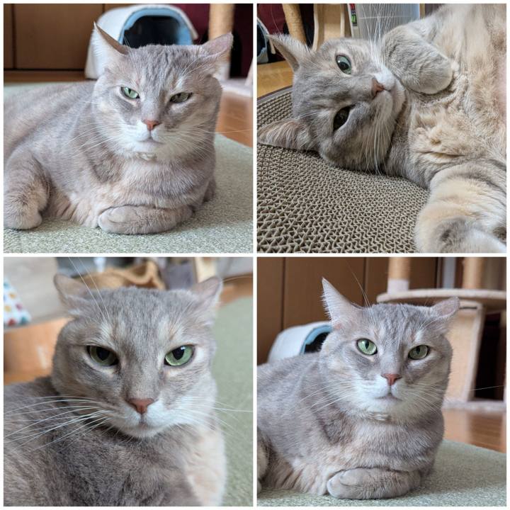 B5ec2b01 66fe 490b 8bb9 eea7b4a8ff61 1765172296790