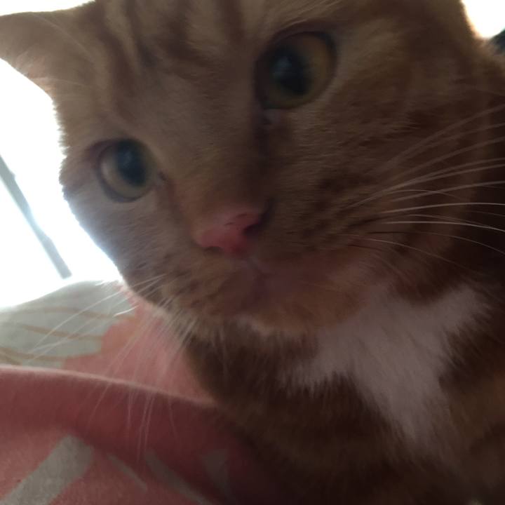 B5ec4015 54fe 4b83 8b02 2531d8a80dc4 1543015955165