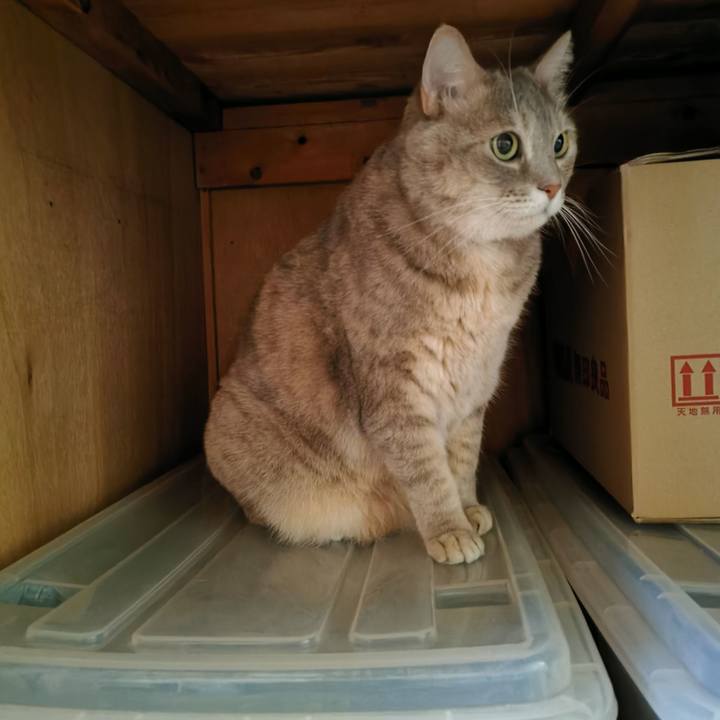 B5ec5a6f 5c05 4031 98b0 6233d4ec5ddb 1665371524801