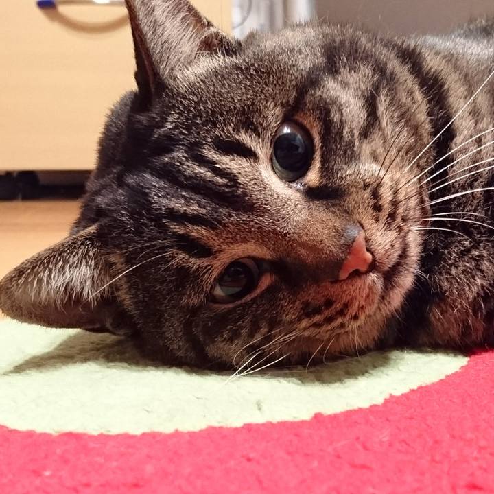 B5ec6acd cf45 4813 afa9 bd5562973736 1555024971530