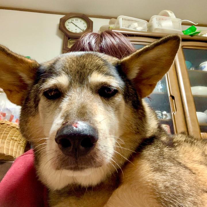 B5ec73fb 64f1 4426 8f9d f655a4cac846 1571925322056