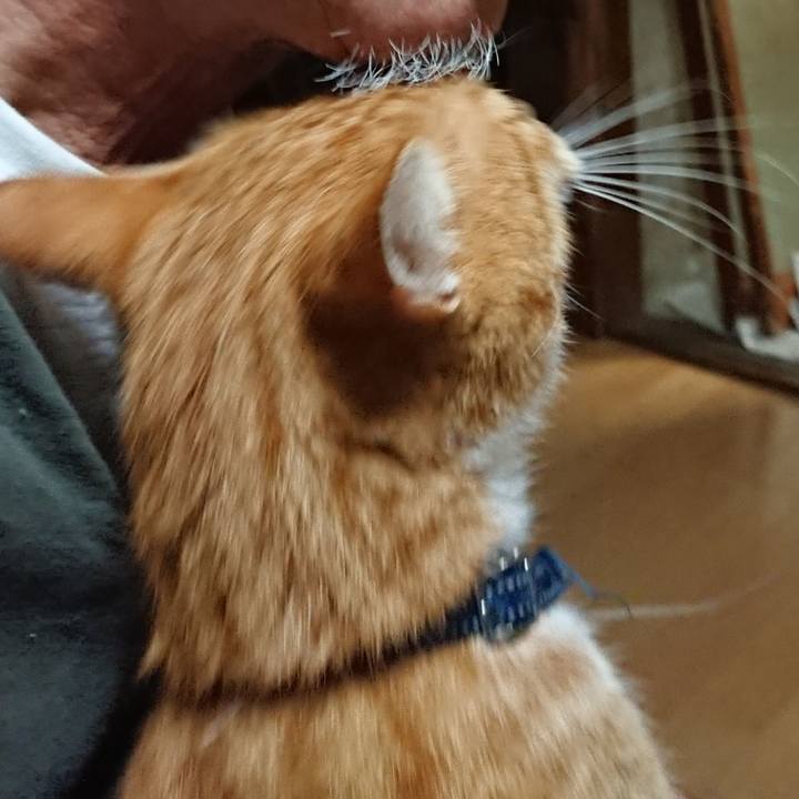 B5ec923f 719d 406e 8883 67c3ed8bf7ca 1599942942862