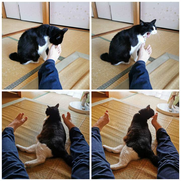 B5ecd21d 0f4a 42c8 be5e 2c918bef0078 1625628779239