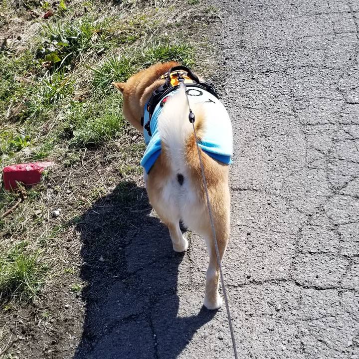 B5ed42c8 0cfd 493c 8e81 c541af8d86e3 1584521808708