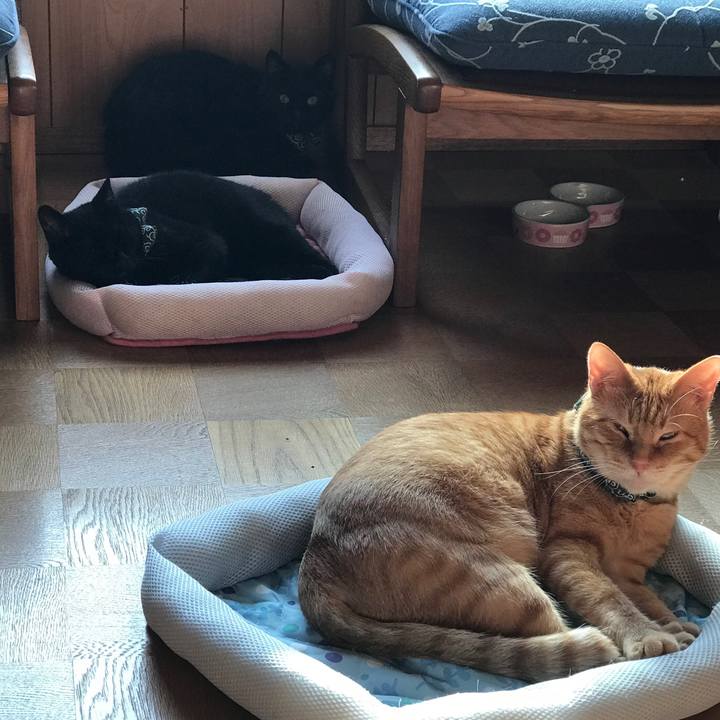 B5ed545d 1785 4bef 96fa d52e802802fa 1561246741486