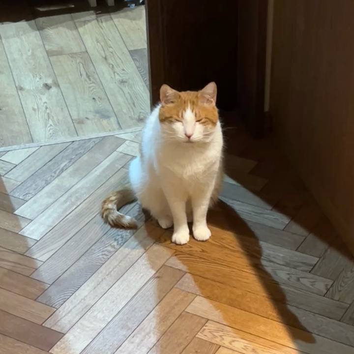 B5ed549f d5e5 4245 bedd 48e957cfa077 1773576454536