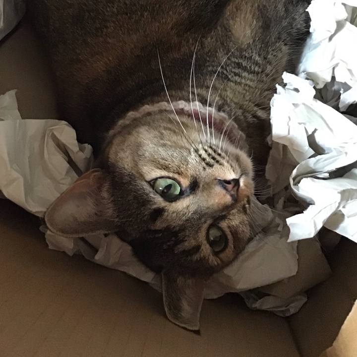 B5ed616a 2fa2 4913 93b9 ae05d0b906a5 1664678669395