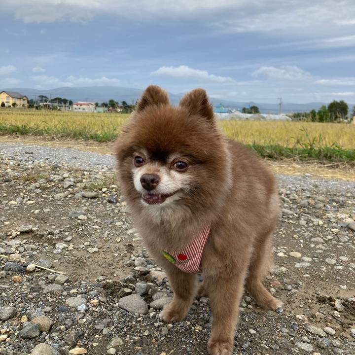 B5ed725c bbed 4ccd bc0e df091a3c0718 1664224745203