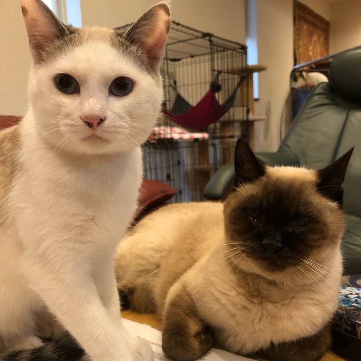 B5eda9c1 852a 4c5c 97e7 42f16a4337d1 1549892829438