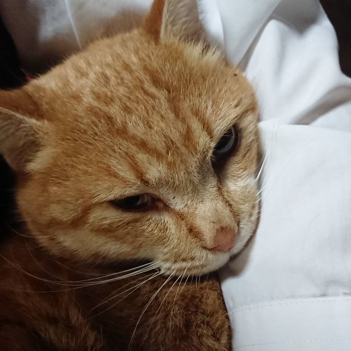 B5edcdd2 3049 4597 8632 fafb56f9b72e 1579082268661