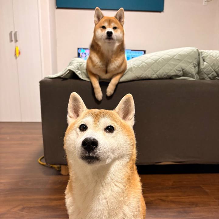 B5ede65c 071c 4111 88c3 5b8119ed402d 1761965492113