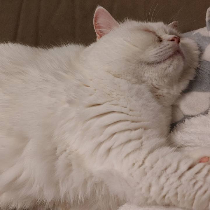 B5edfd0b b579 4bfe 843d c9f529d12f7c 1618611414163