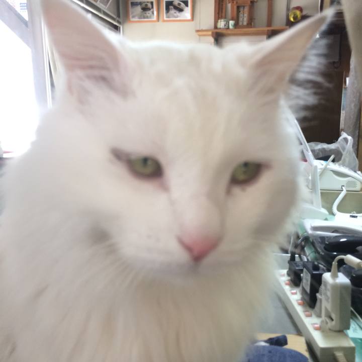 B5edff01 61f7 43b6 a8a8 e17c660cf89e 1518270281220