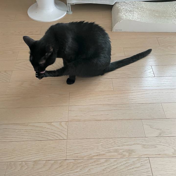 B5ee0c5a 773a 46fb 80b6 69f5da3a238c 1749876795107