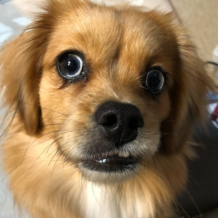 B5ee5520 4221 4dad 9fed 042b6fbf76b8 1516312067823