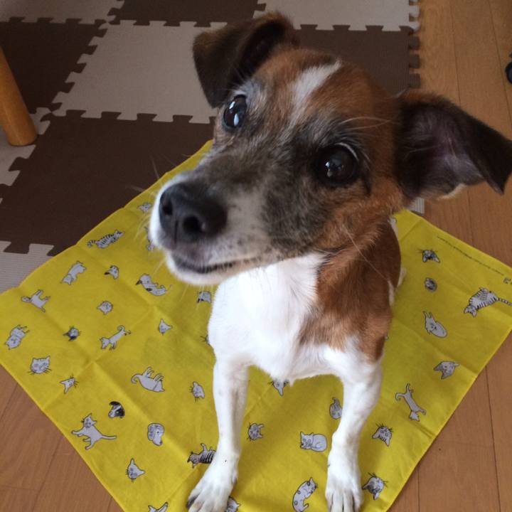 B5ee6146 a23b 4183 a9fa 98c18bf8df8e 1572926778347