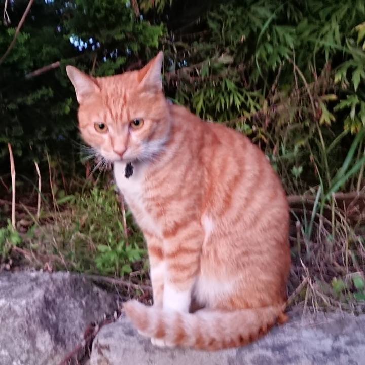 B5ee69b3 feed 4187 ae28 239d018dc4b0 1568540159348