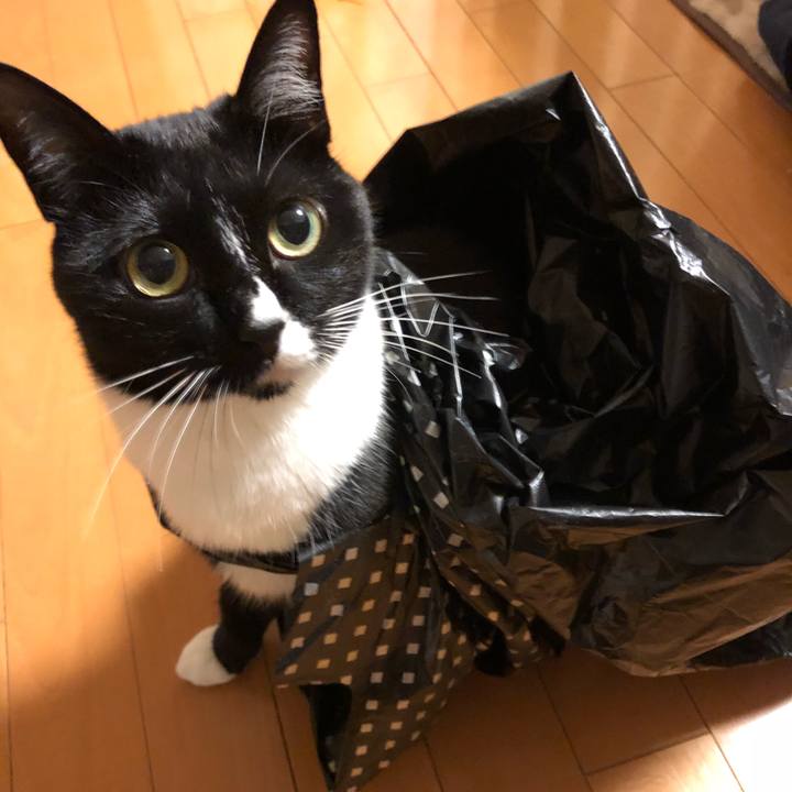 B5ee7914 da13 4b26 9061 3d01923e44fa 1515621520699