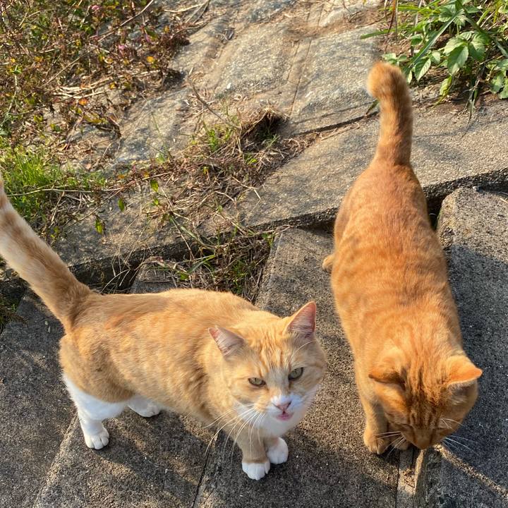 B5ee8700 3af5 477b b48a 60b1e38b9c15 1637746984251