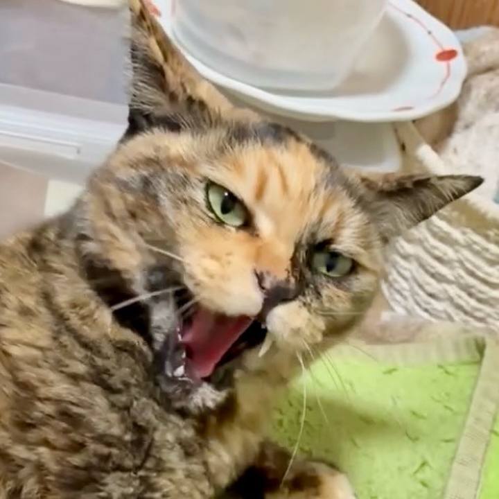 B5eeca0c a69c 4890 9c80 b87c31e6687f 1775473776846