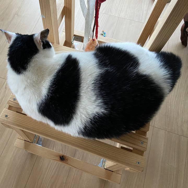 B5ef1312 9172 42c6 85b8 72f256db2fb2 1592822585345